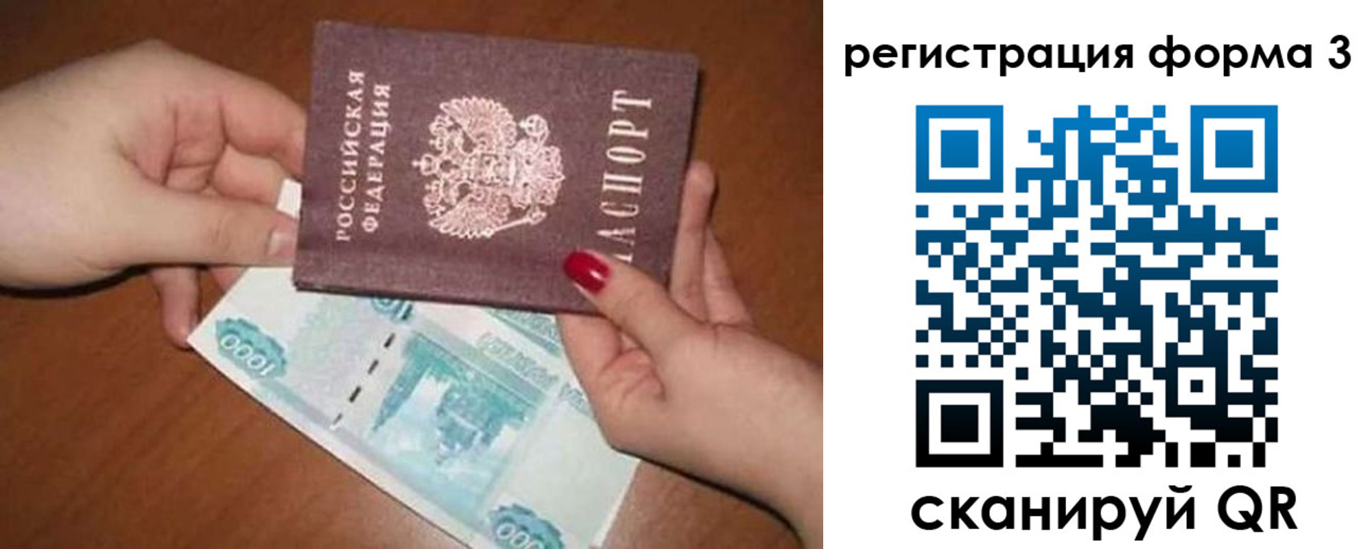 прописка законно в Тимашёвске